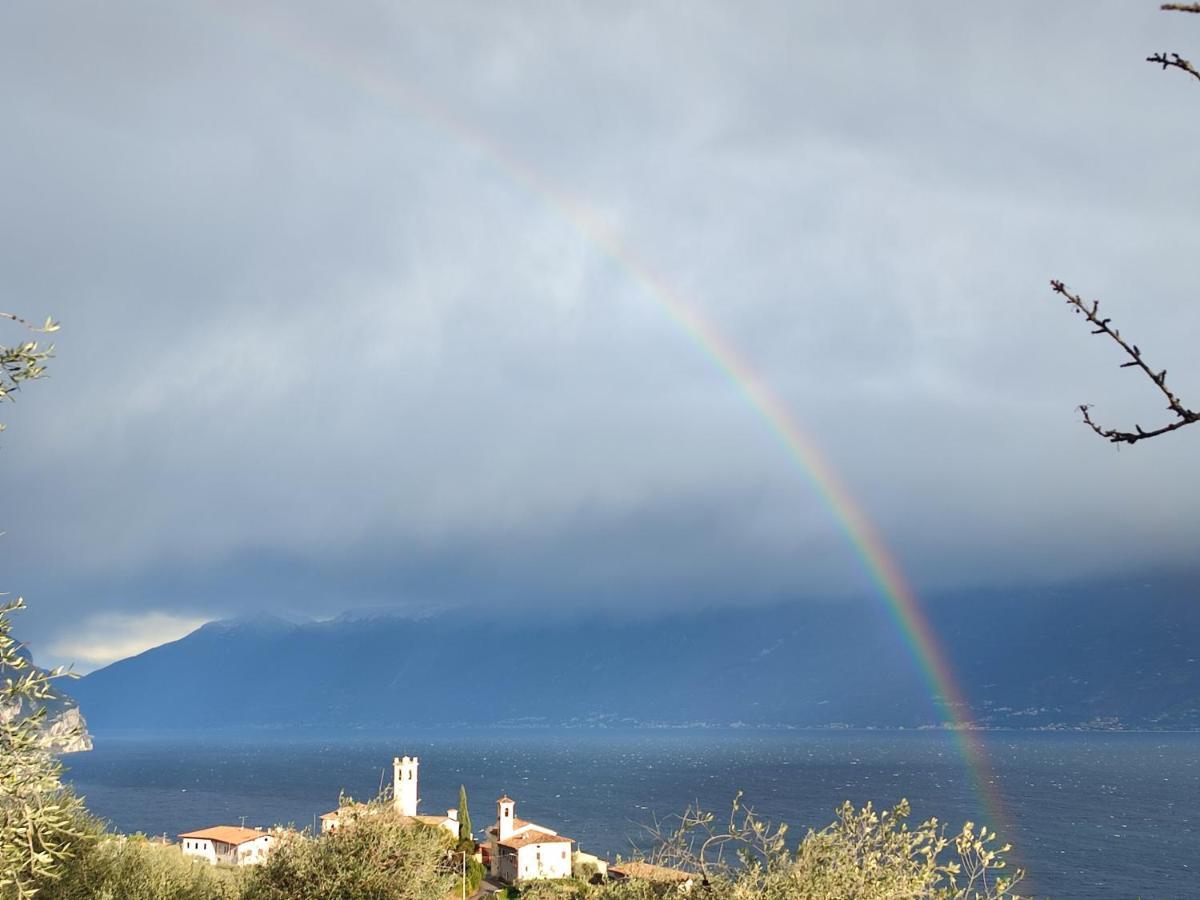 Agriturismo L'Uliveto 가르냐노 객실 사진