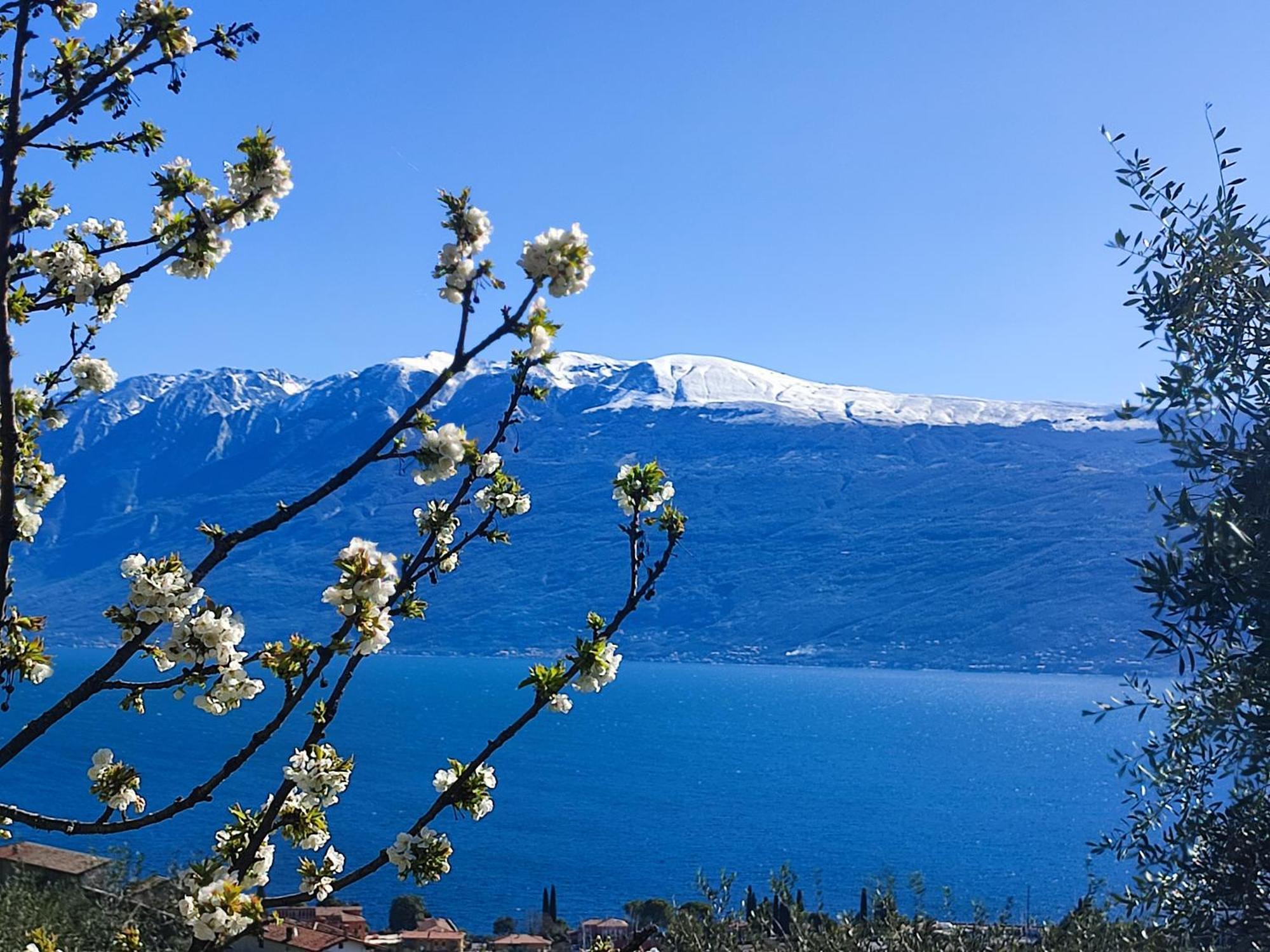 Agriturismo L'Uliveto 가르냐노 외부 사진