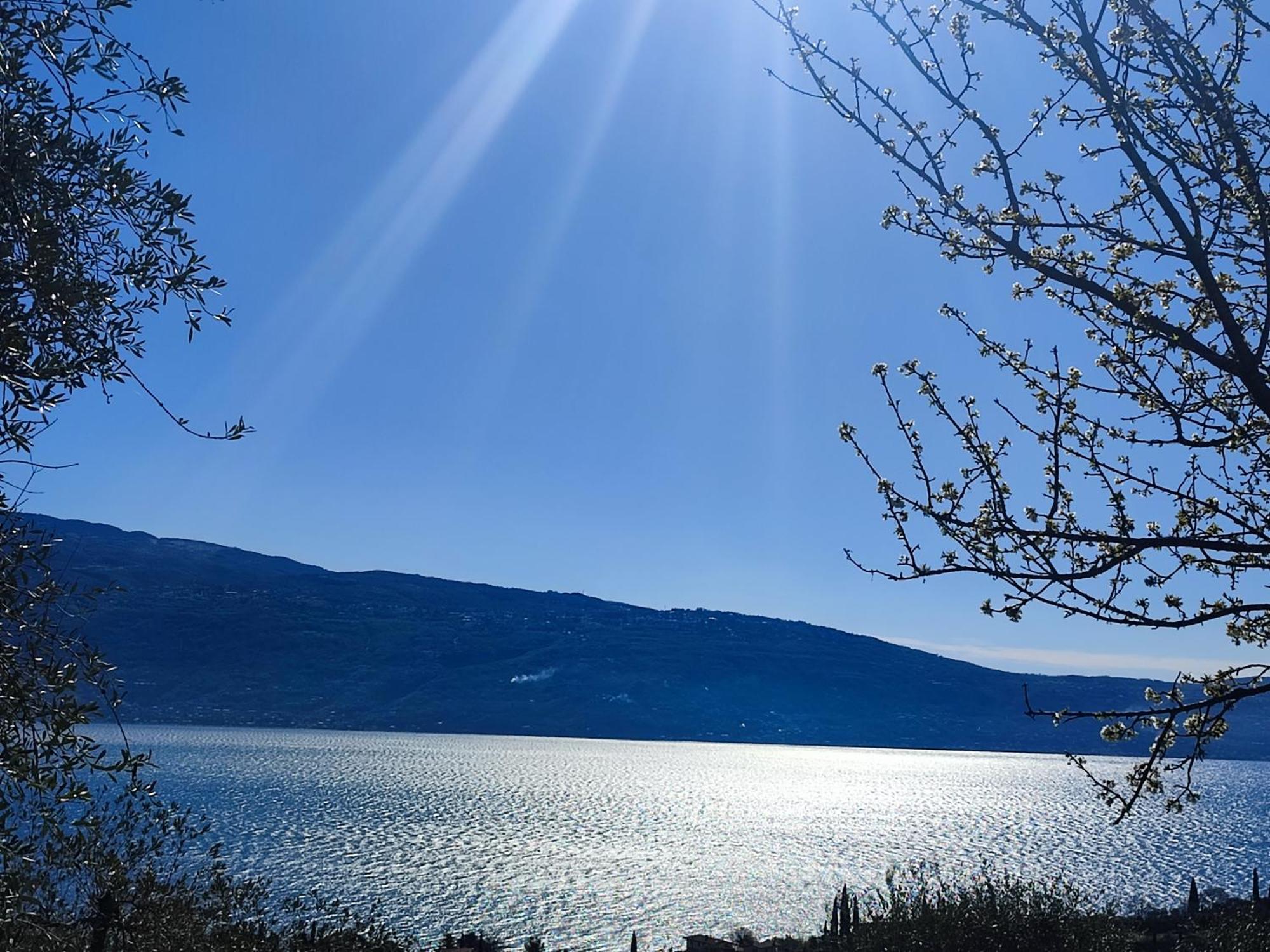 Agriturismo L'Uliveto 가르냐노 외부 사진